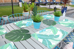 MOMENTUM AND SOURCE DIRECT NW